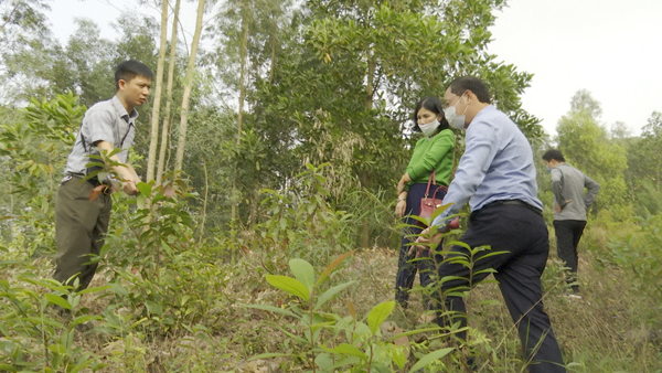 Hạt kiểm lâm Lạng Giang - thành phố Bắc Giang kiểm tra công tác phòng, chống cháy rừng mùa khô