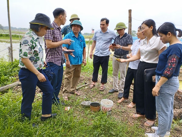 Trung tâm Dịch vụ kỹ thuật nông nghiệp thành phố: Nghiệm thu dự án nuôi ốc nhồi tại phường Đa Mai