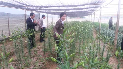 Hội đồng KH-CN thành phố tổ chức nghiệm thu một số mô hình nuôi trồng cây con có giá trị kinh tế...
