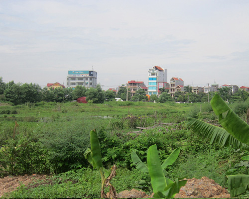 Nan giải trong công tác cấp giấy chứng nhận quyền sử dụng đất lần đầu của phường Hoàng Văn Thụ   ...