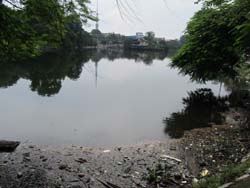 Ô nhiễm môi trường ao hồ ở thành phố Bắc Giang                                                   ...