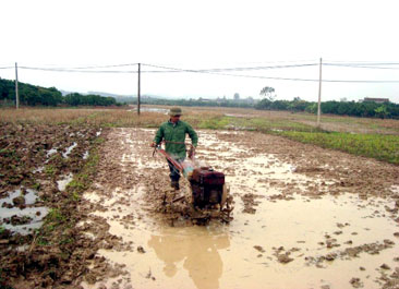 Thành phố Bắc Giang: Hỗ trợ 168,23 triệu đồng cho nông dân mua dụng cụ sản xuất                  ...